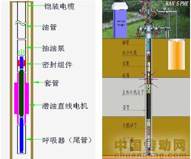 電機置于井下直接驅(qū)動抽油泵往復(fù)抽油,形成了一套新型高效潛油直線